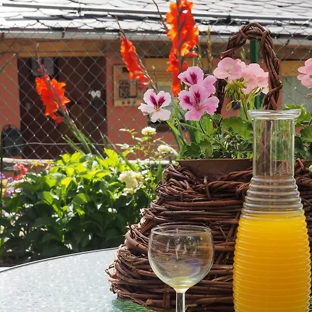 Casa Rural Faldin Venkovský dům Sosas de Laciana